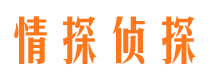 双鸭山寻人公司